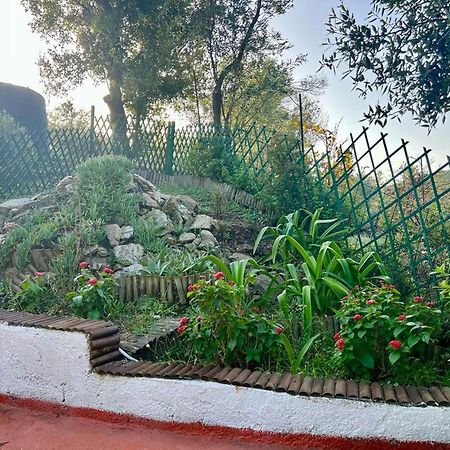 Villa Platanias อายา ปารัสเกวี ภายนอก รูปภาพ