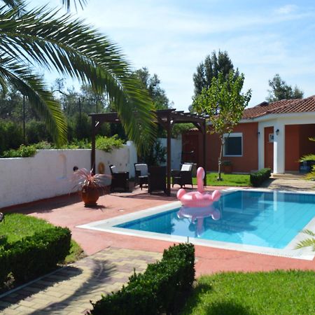 Villa Platanias อายา ปารัสเกวี ภายนอก รูปภาพ