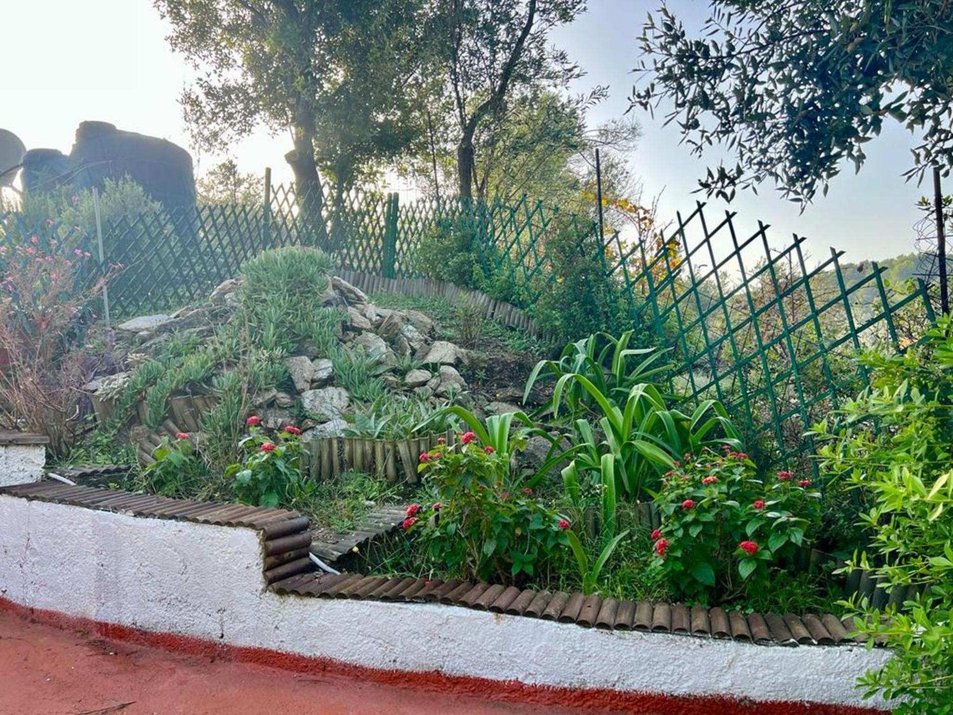 Villa Platanias อายา ปารัสเกวี ภายนอก รูปภาพ